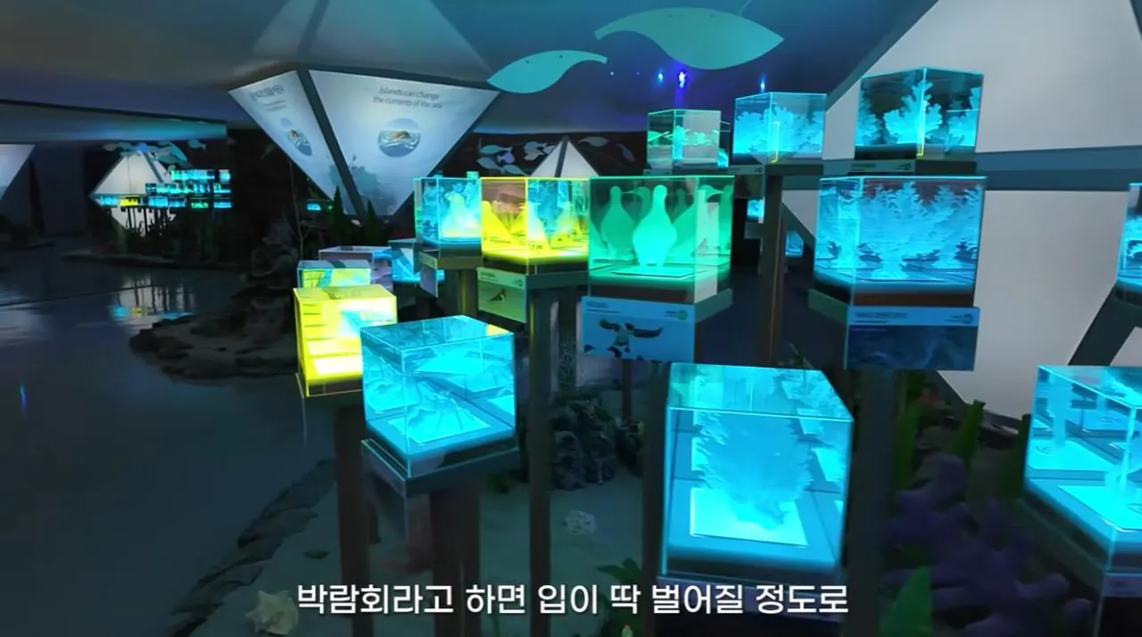 여수국제 섬박람회에 갔다가 실망한 유튜버 (20)