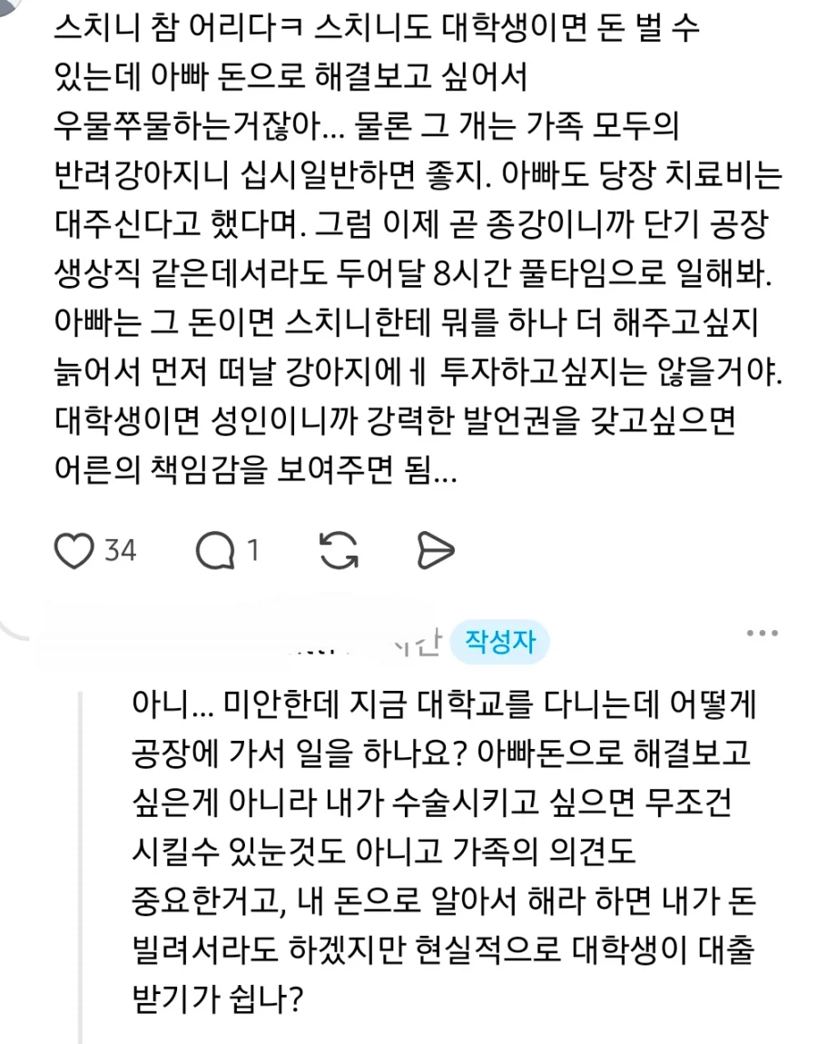노견 수천만원드는 수술은 안시킨다는 아버지 (3)