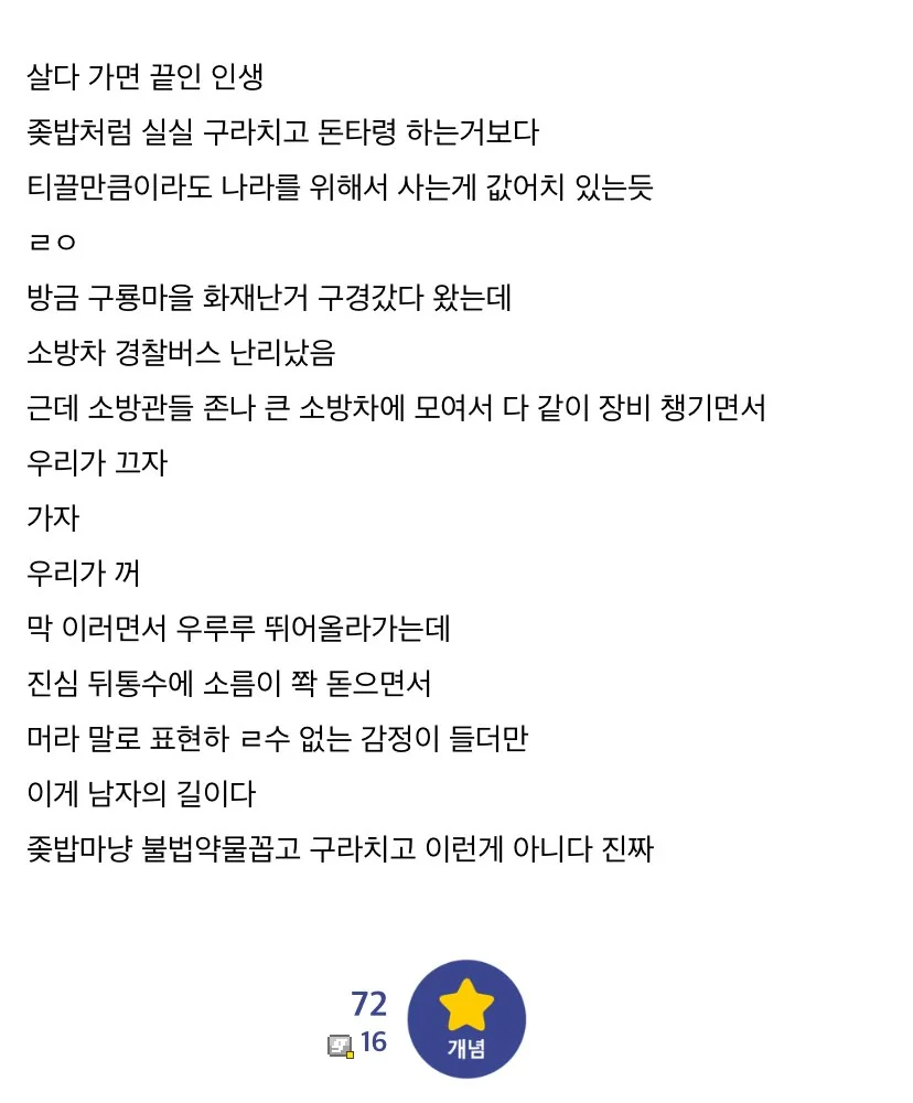 보갤러 : 남자는 나랏일 하는게 맞구나 ㄹㅇ (2)