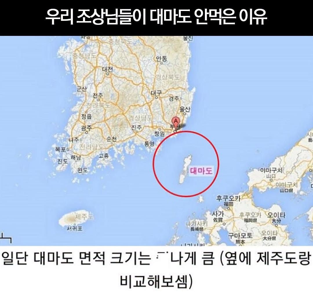 우리 조상님들이 대마도 안먹은 이유