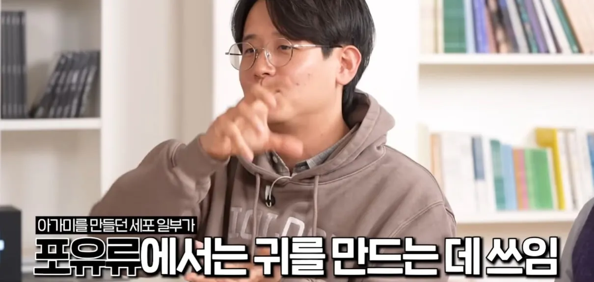 사람의 귀가 아가미에서 진화했다?