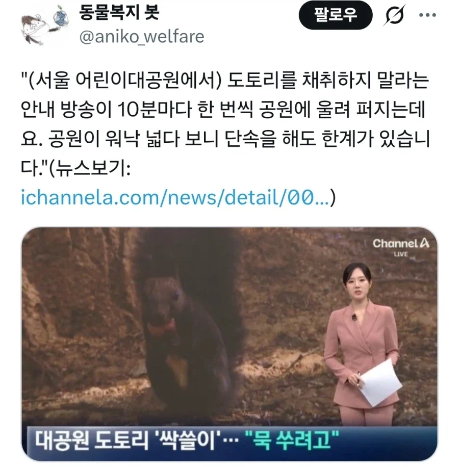 대공원 도토리 '싹쓸이' "묵 쑤려고"