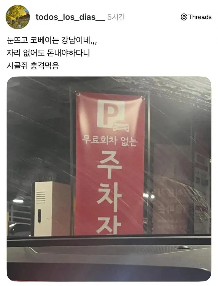 눈뜨고 코베이는 강남 주차장..