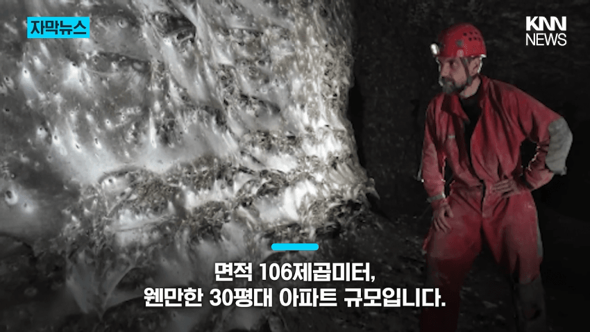 경악 세상에서 제일 큰 거미줄 발견 (8)