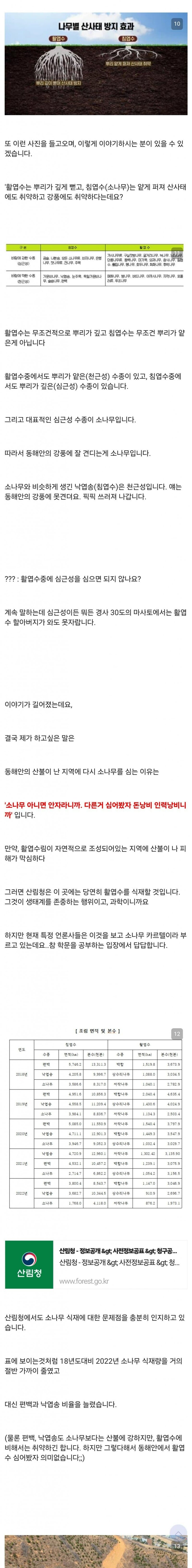 새덕후의 캣맘, 고양이 살처분 강경주장 태도의 문제점이 이미 드러났던 사건 (4)