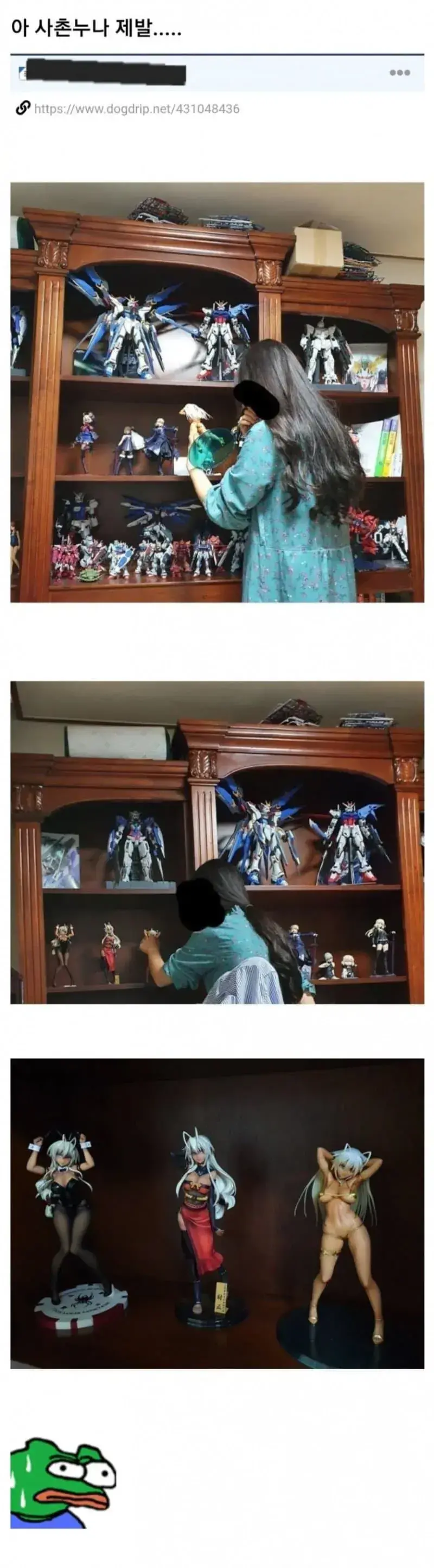 사촌누나가 집에 와서 피규어 구경하는데 ㅈ된거 같다
