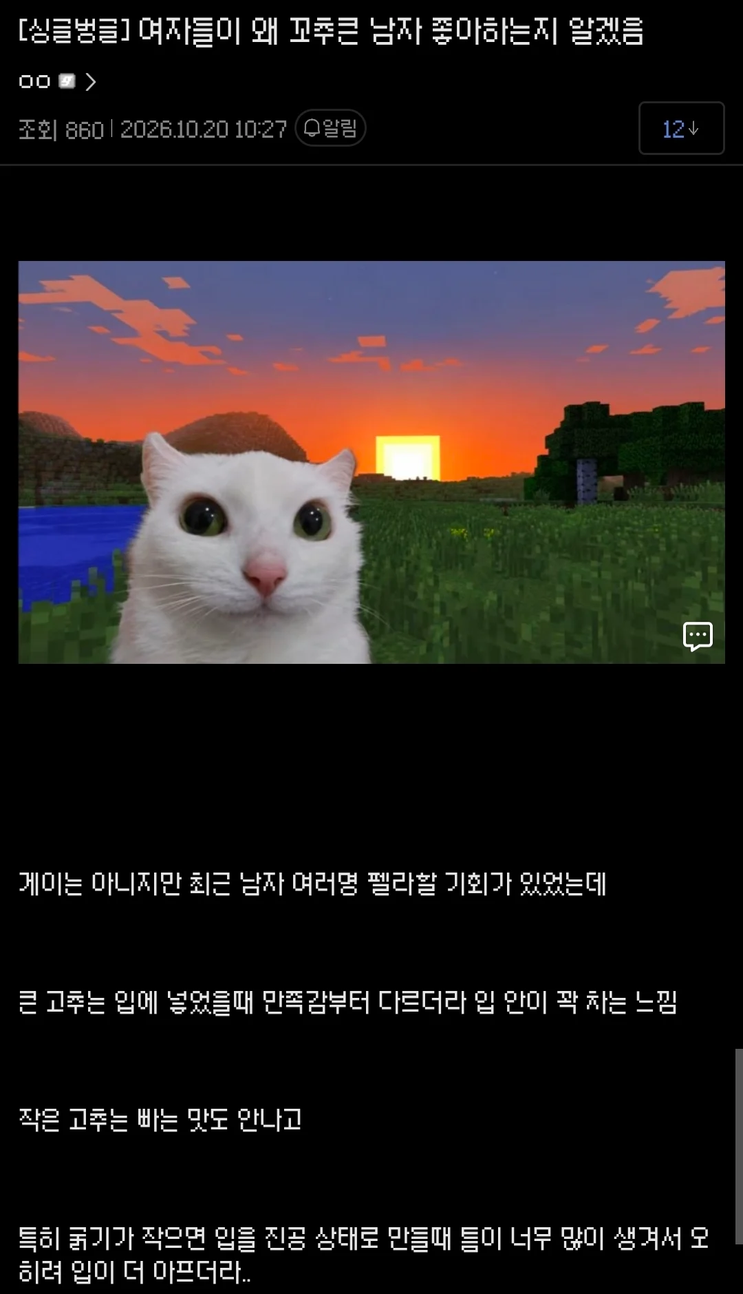 약혐) 왜 큰 야추가 좋은지 깨달은 싱붕이