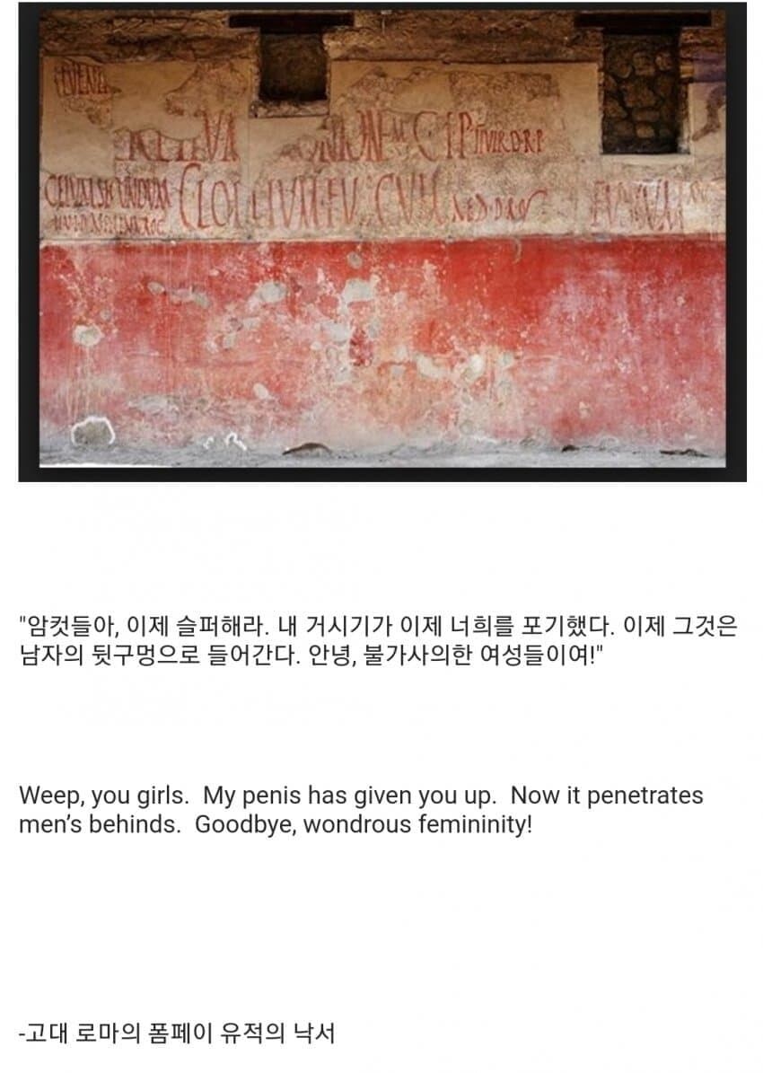 '암컷들아 이제 슬퍼해라'