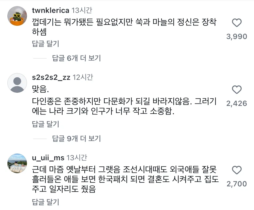 한국은 다문화 사회가 될 수 없다는 사람 (6)