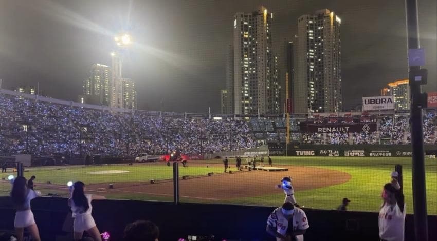 부산..정상인들은 이해불가....꼴데..약간 기괴... (3)