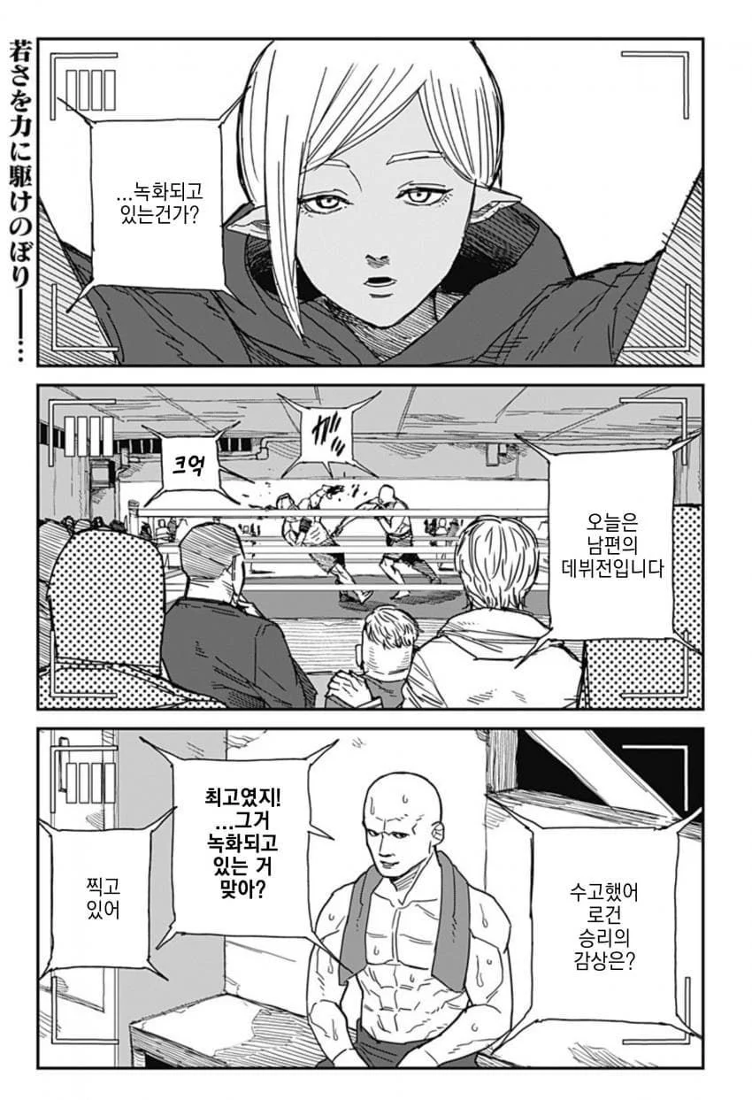 최강이라 불리던 격투가 만화 (2)