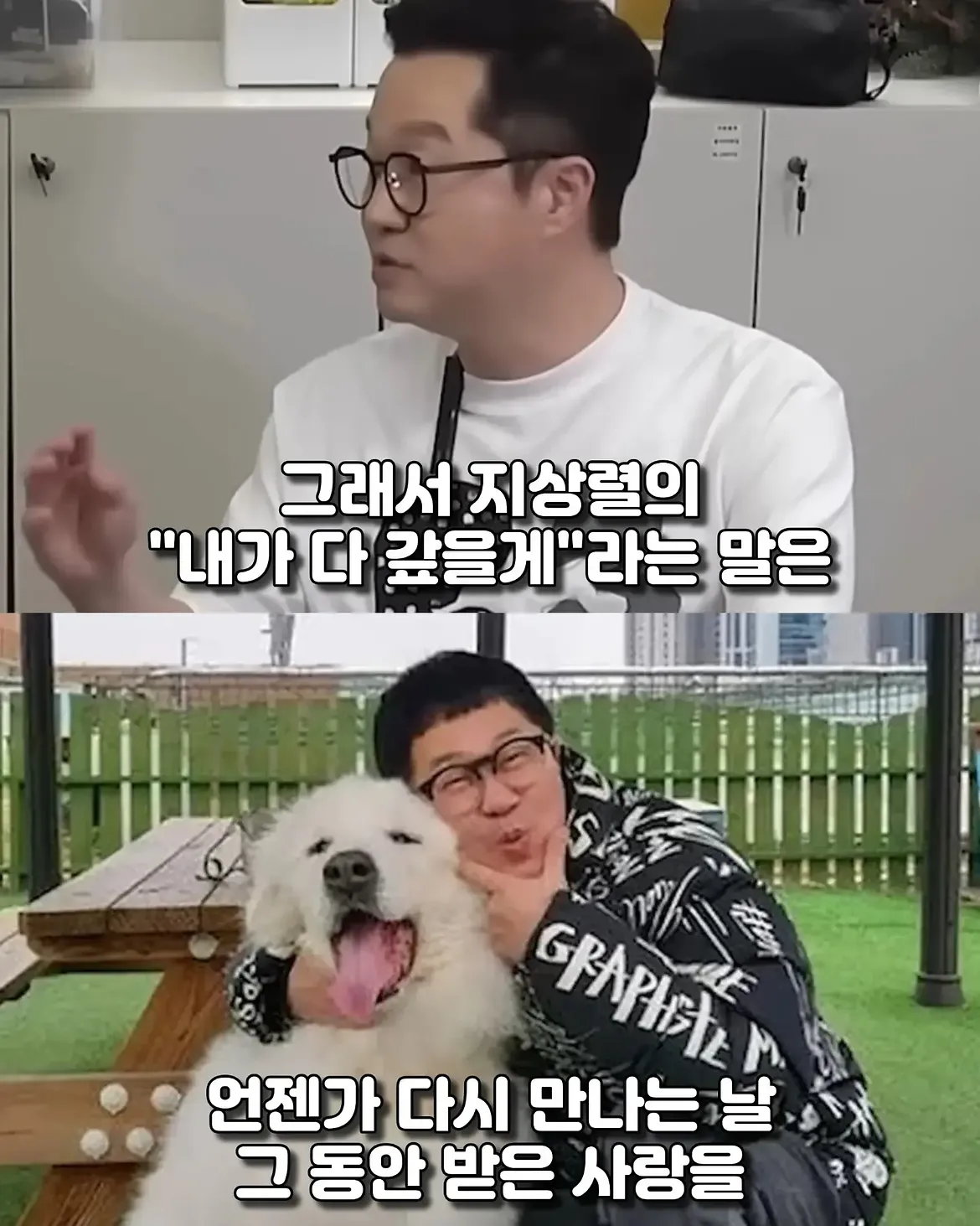 싱글벙글 17년동안 고마웠어요 힘겹게 버티던 댕댕이가 마지막까지 기다 (12)