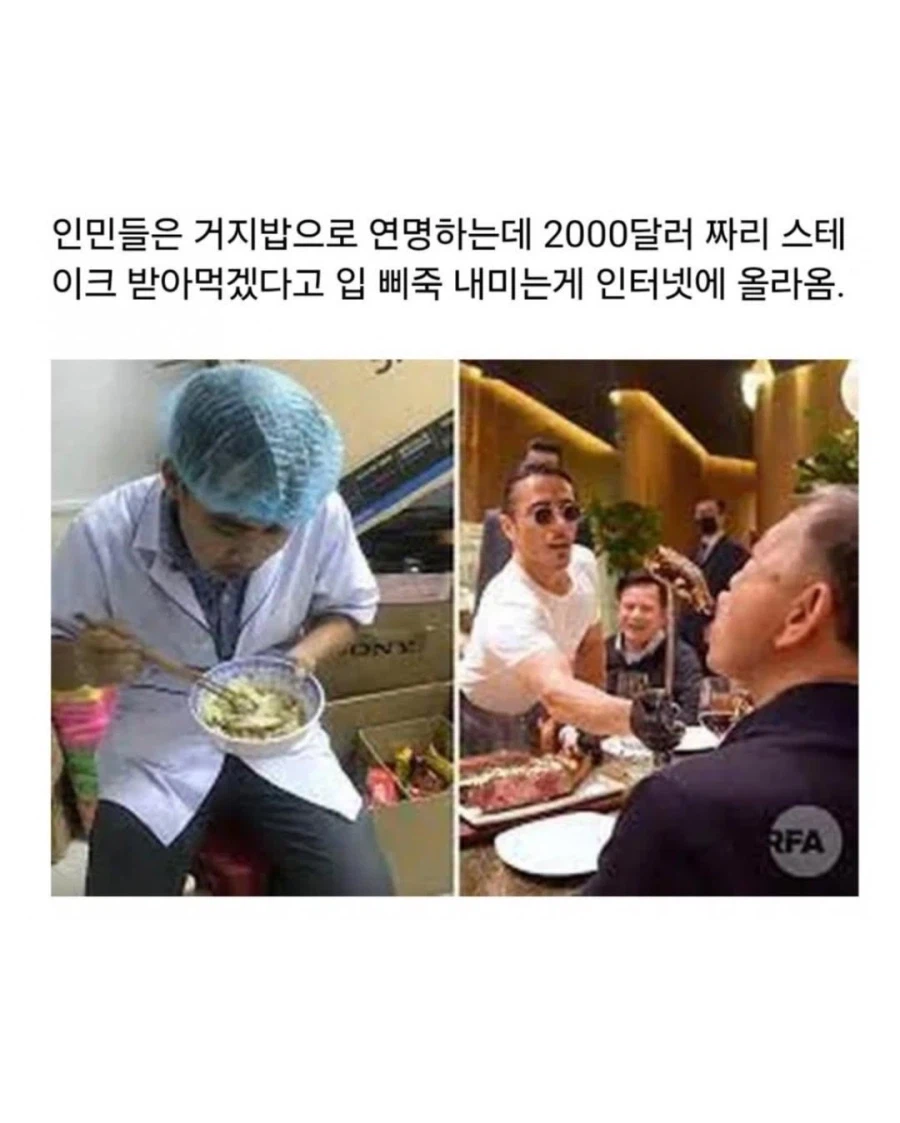 방플국 근황 (2)