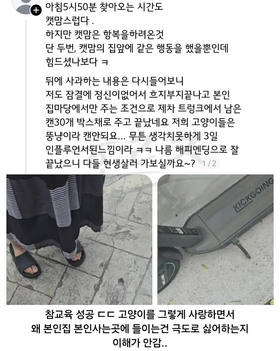 싱글벙글 캣맘 처리법 (8)