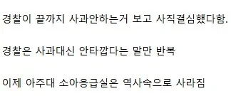 보법이 다른 싸패 최신 근황 (2)