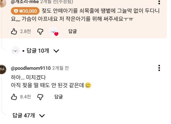 조회수1500만 견주 허락 없이 1개월 아기 강아지 그늘막 설치 사연, (43)