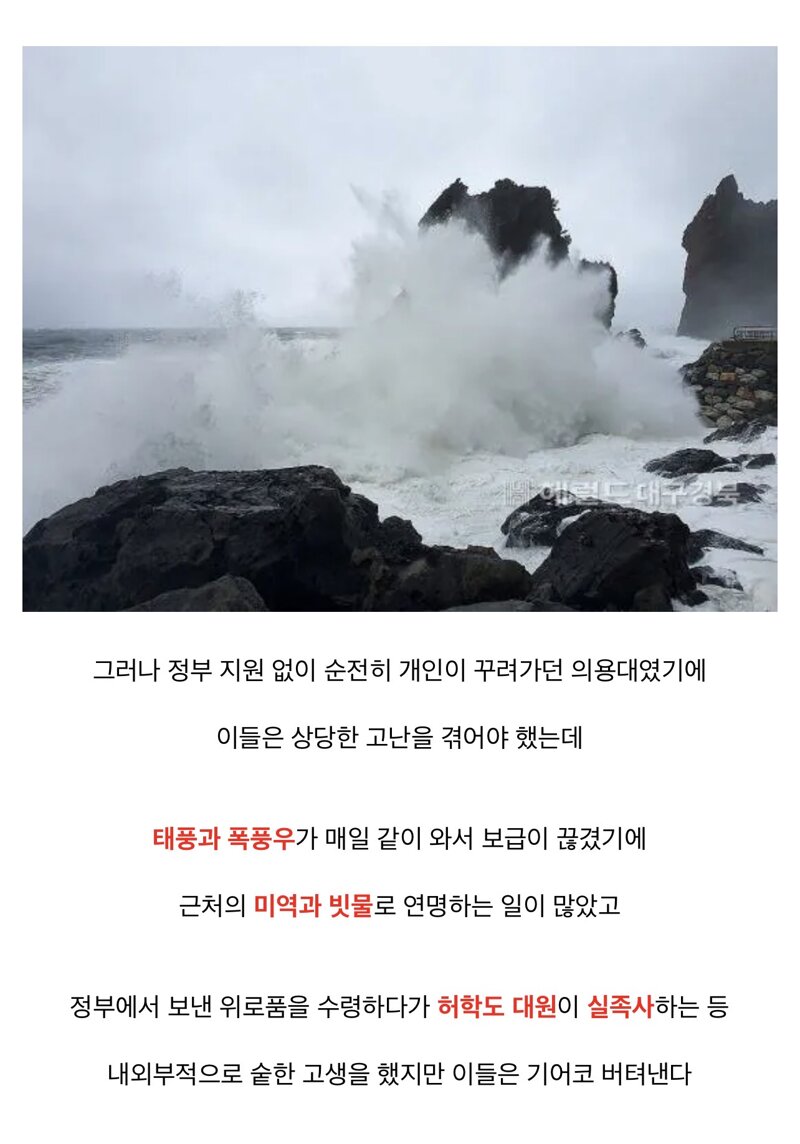 어찌보면 한국 최후의 의병 (19)