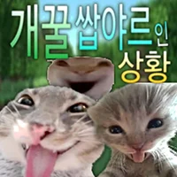 icon_13
