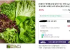 유러피안 샐러드 1kg