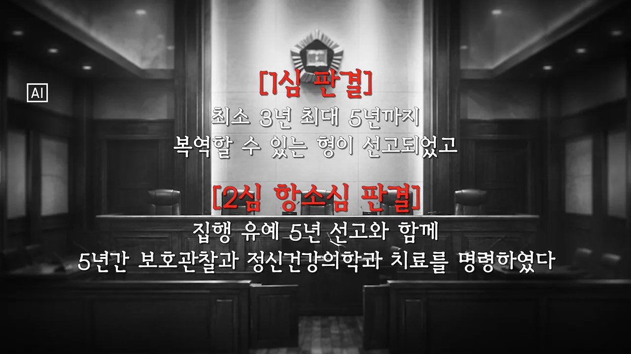 학폭 가해자 찔러 죽인 19살 애한테 집행유예 선고한 실제 판결 (18)