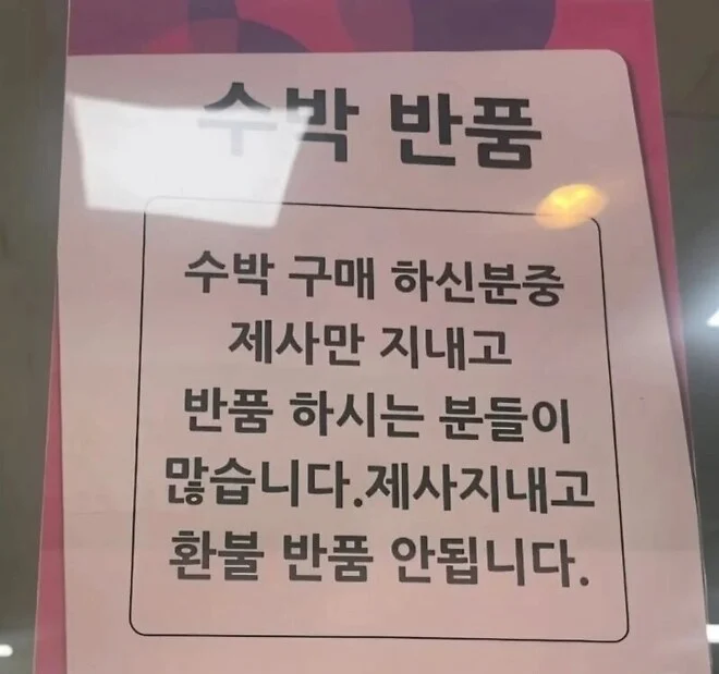 K제사 근황