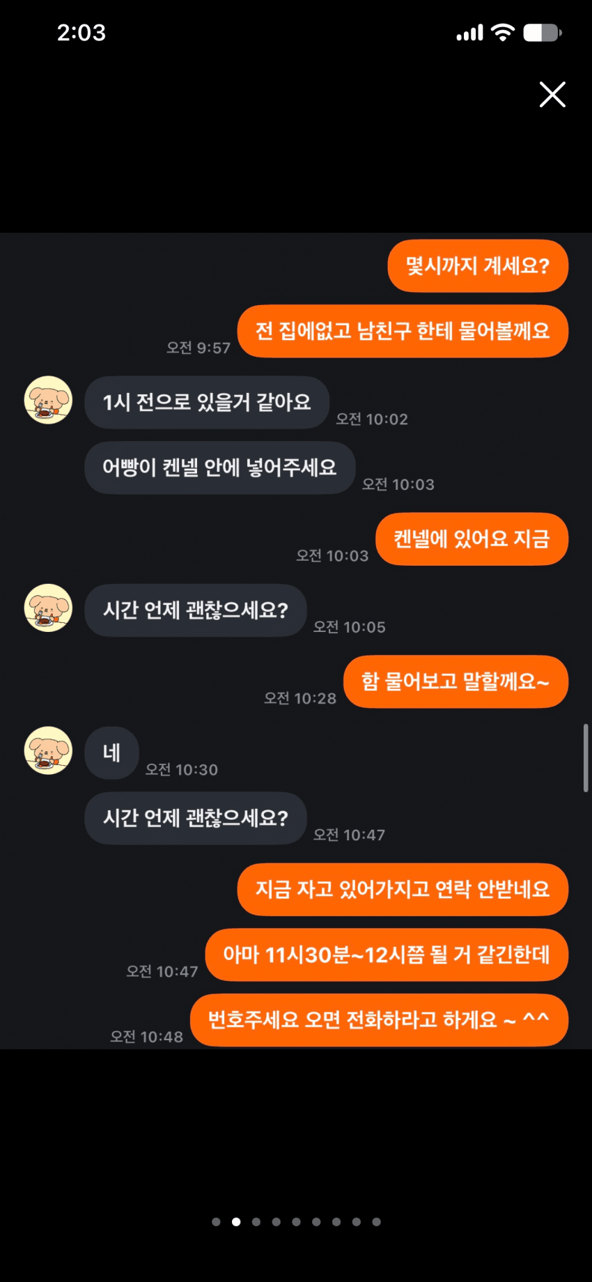캣어머니한테 임보냥이 설계당한 당근 착한아줌마. (5)