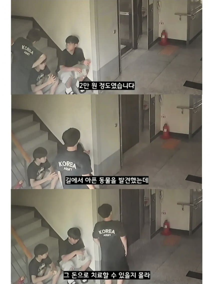 싱글벙글 2만원을 모아 동물병원 방문한 초등학생들 (7)