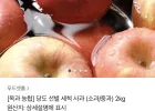 당도 선별 세척 사과 중과 2kg (7-9과)