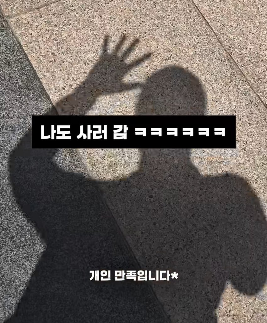 되팔이들 전부 치이카와로 갔다는거 구란줄알았는데 (9)