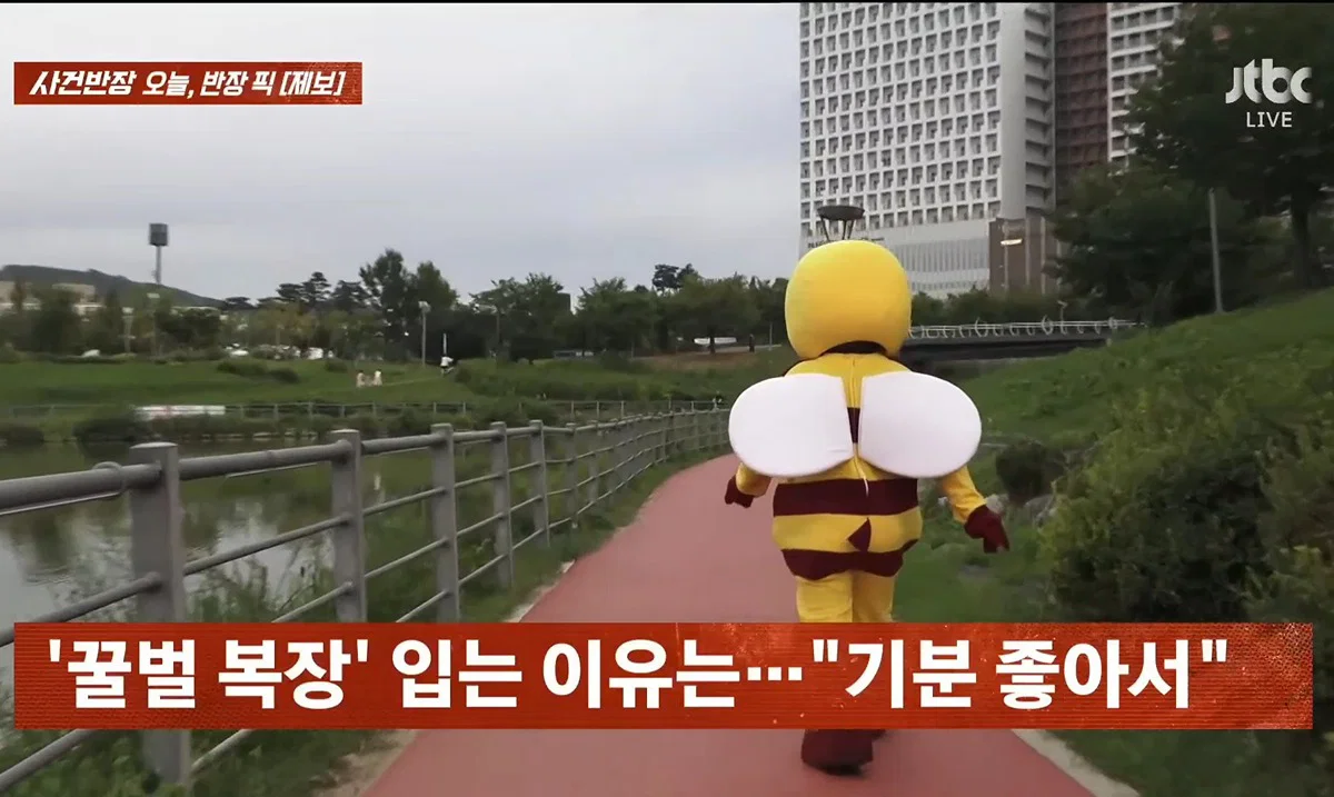 사건반장에 나온 꿀벌 복장 입는 이유 (12)