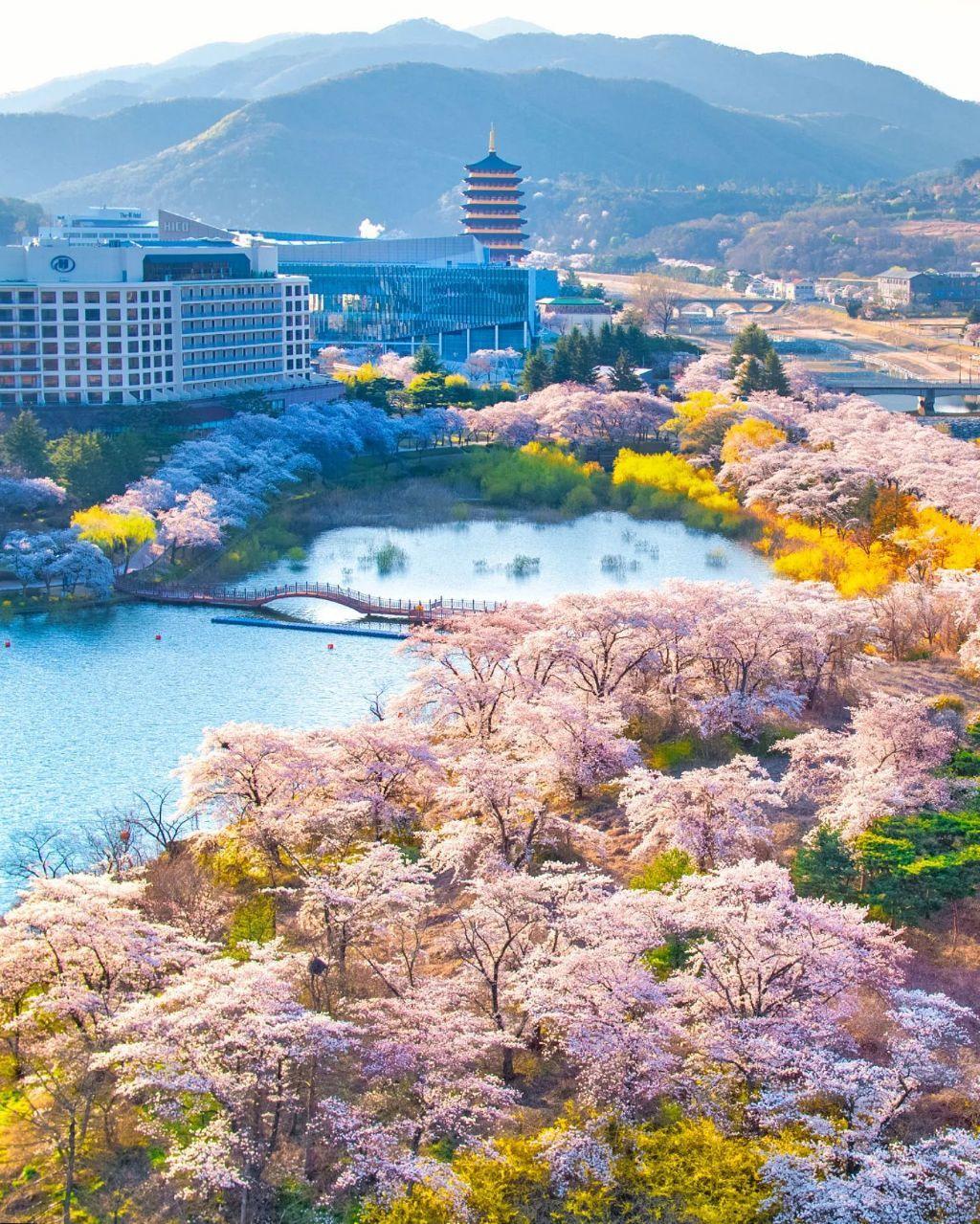 외국인들이 찍은 경주 사진 (6)