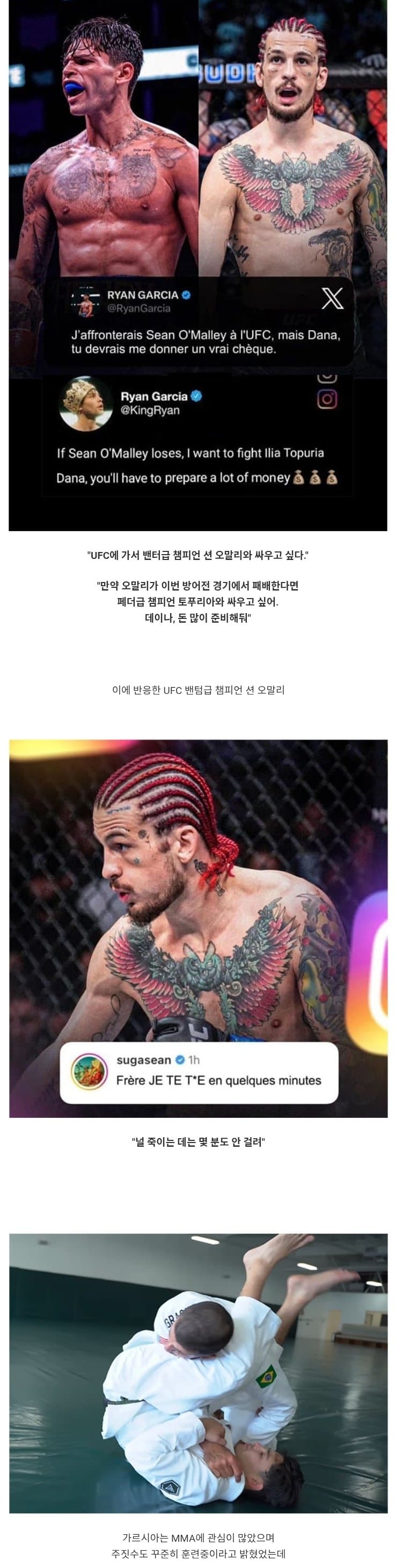 싱글벙글 MMA에 벽 느꼈다는 복싱 세계 챔피언 (2)