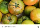 부산 대저 토마토 2.5kg S-3S