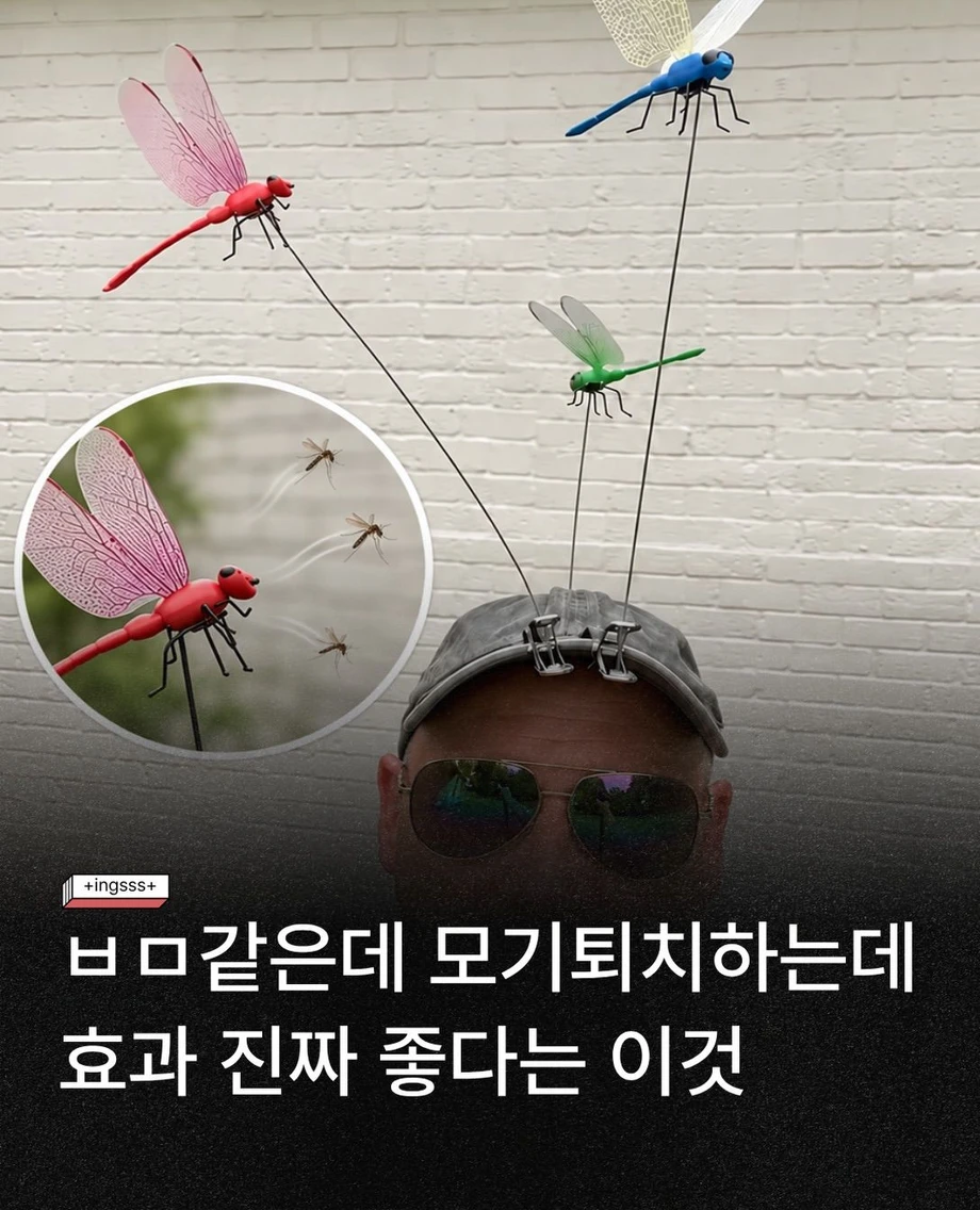 모기 퇴치에 효과있는 아이템