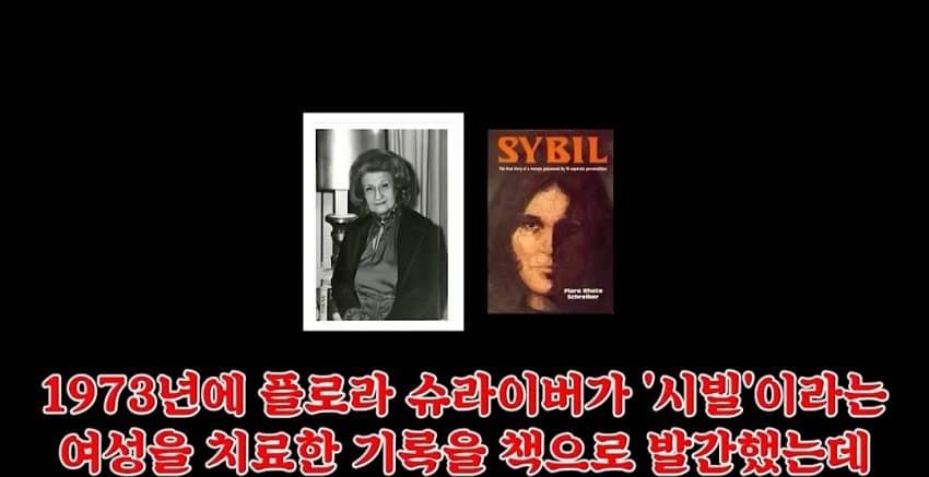 해리성 정체성 장애 (2)