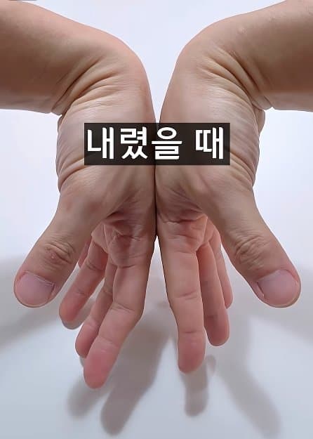 긴급) 지금 이동작 안되면 바로 병원에 가야 합니다! (13)