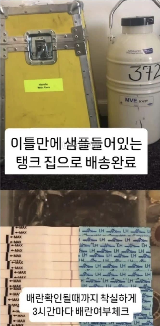 여자 혼자서 임신할 수 있다는 미국 DIY 근황 (5)