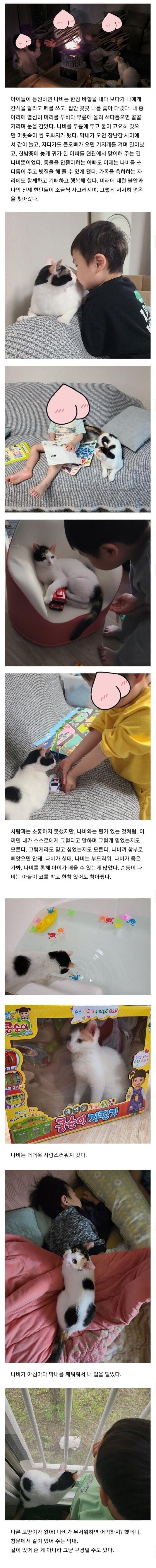 자폐스펙트럼 아이가 고양이를 만나자 생긴 일 (2)