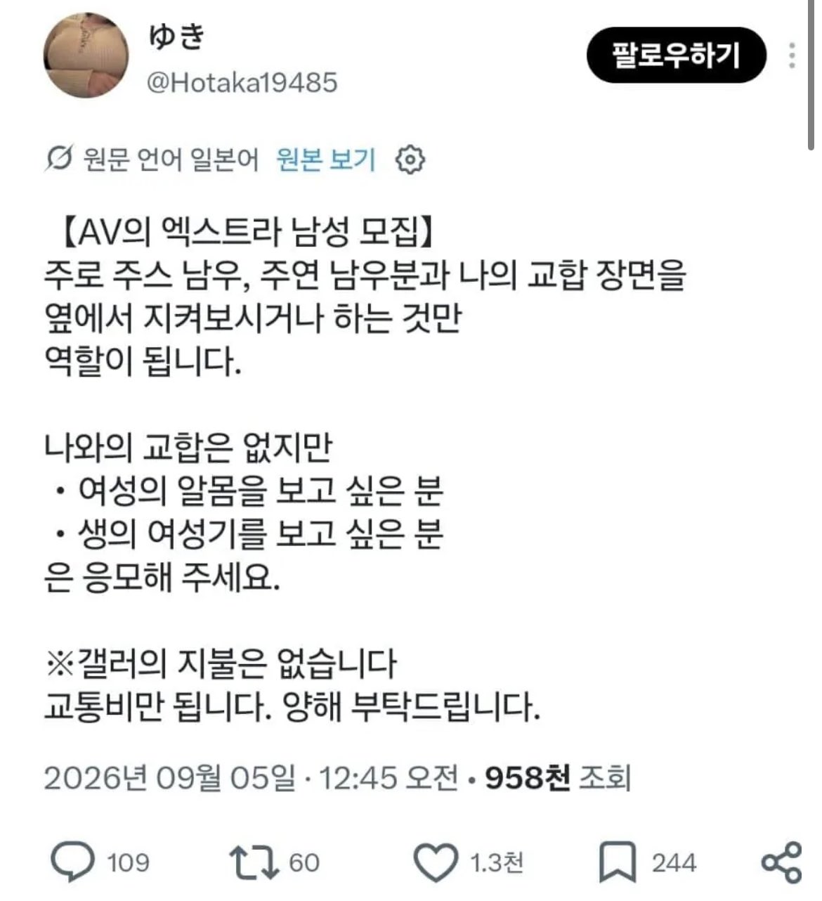 AV 엑스트라 모집하는 일본