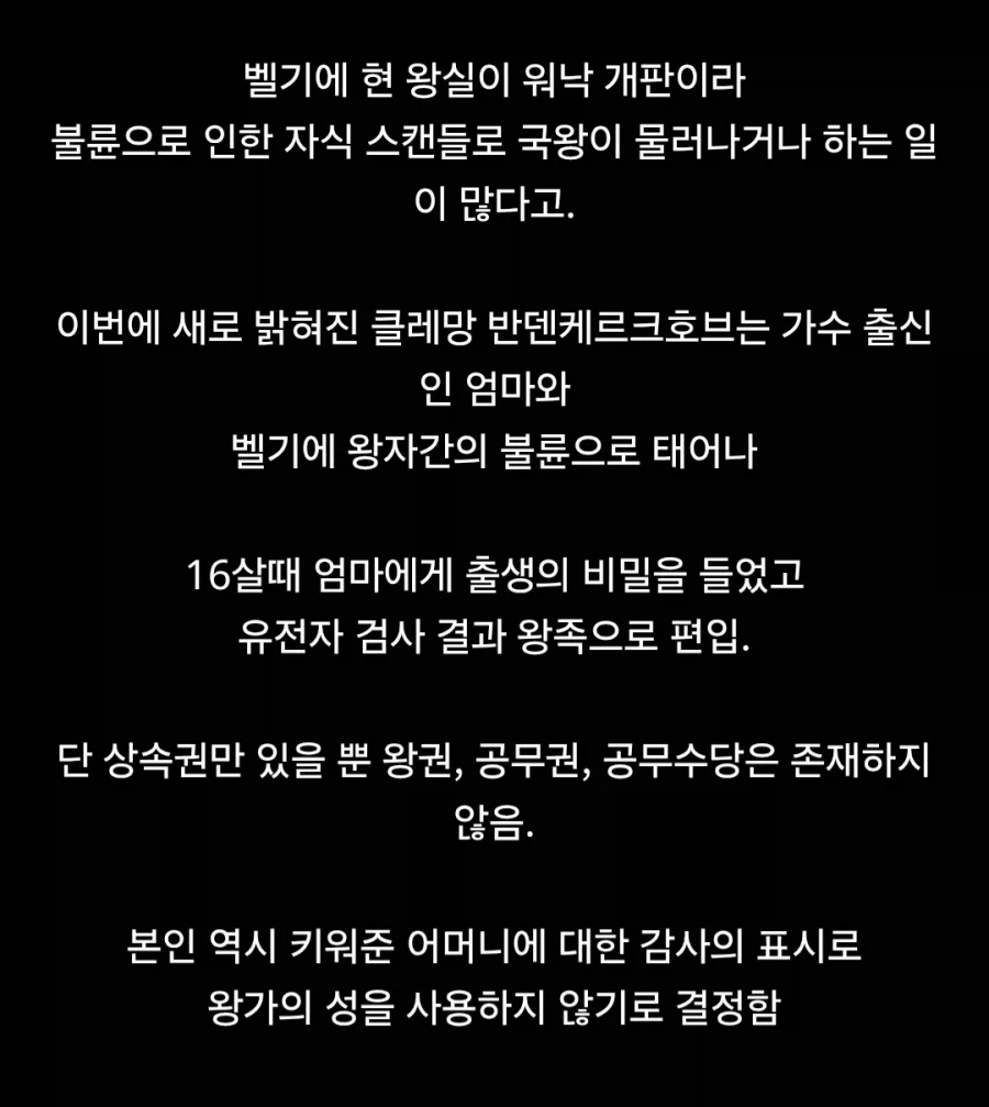 벨기에에서 나타난 진짜 숨겨진 왕족 (2)