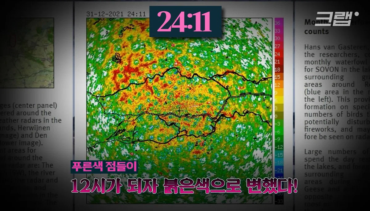 새들에겐 거의 전쟁난 수준이라는 불꽃축제 (26)