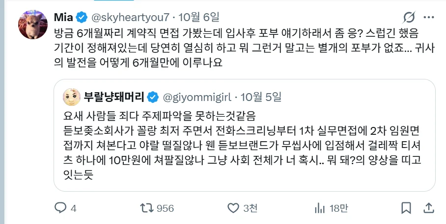 대한민국 사회 전체가 너 혹시... 뭐 돼?라는 느낌임 (2)