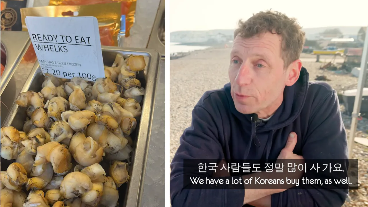 영국 골뱅이 어부들 입맛까지 낚아버린 생애 첫 골뱅이 무침! 8-52 screenshot.png 골뱅이 잡는 영국 어부들에게 한국 골뱅이무침을 먹여봤다 ㅋㅋㅋㅋㅋ