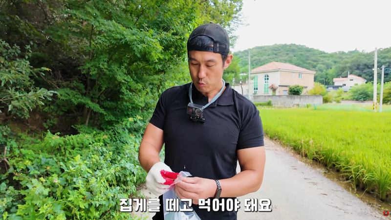 사마귀 먹는 방법 알려주는 유튜버 (5)