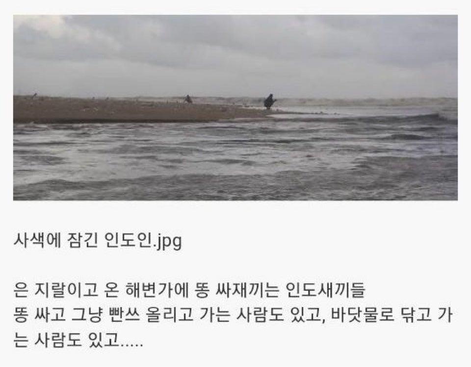 인도의 거대 화장실 (18)