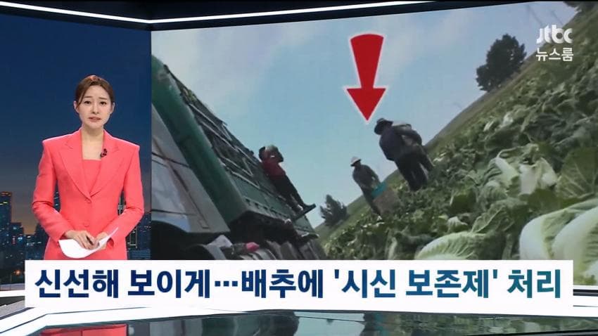 중국 배추 시신 보존제 발암물질 범벅…한국'중국산 김치'수입량 역대 최대 (4)
