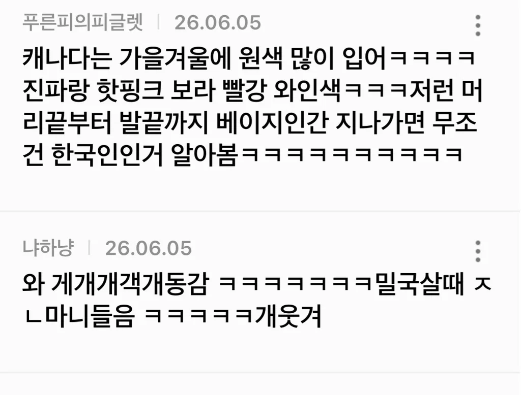 해외 살 때 진짜진짜 많이 들었던 코리안 컬러 (4)