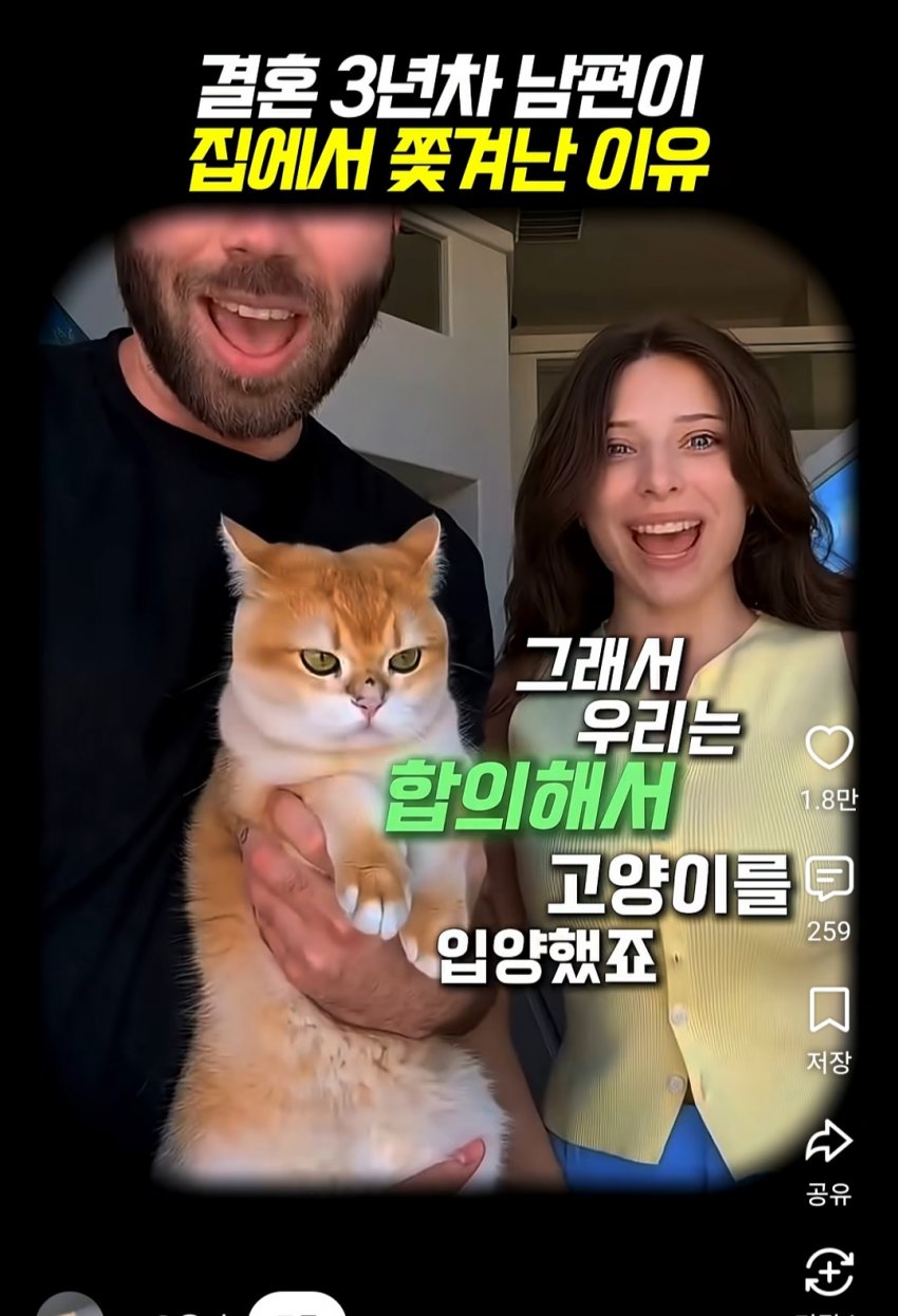 훌쩍훌쩍 부부의 반려동물 고르기촌 (3)