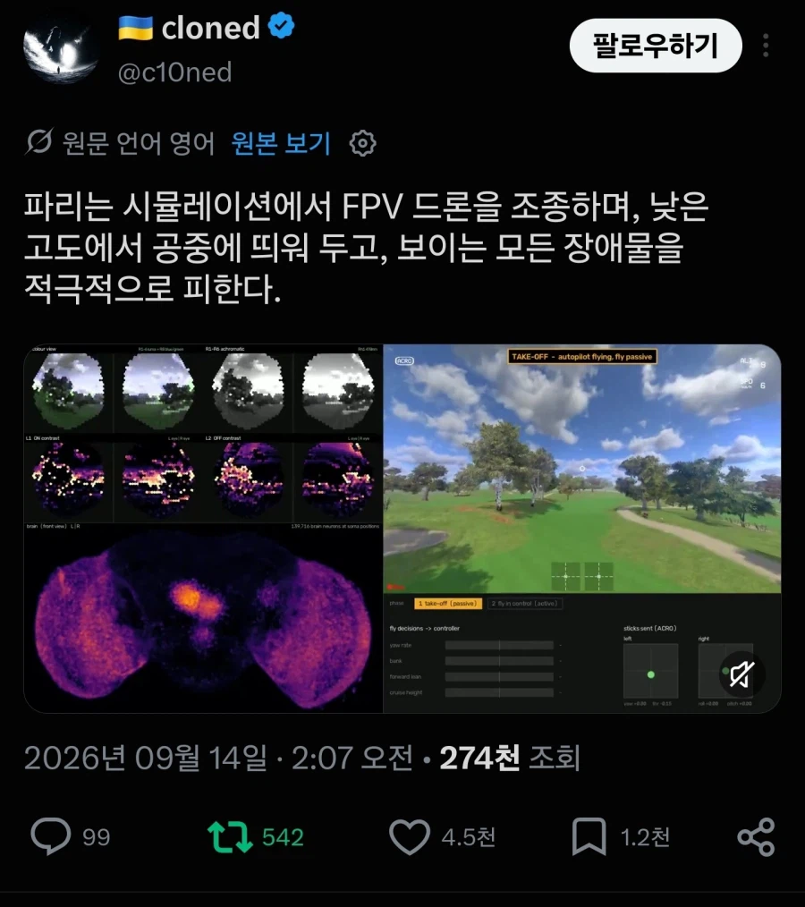 인간의 광기를 보여주는 초파리 뇌 신경망 활용 근황 (2)