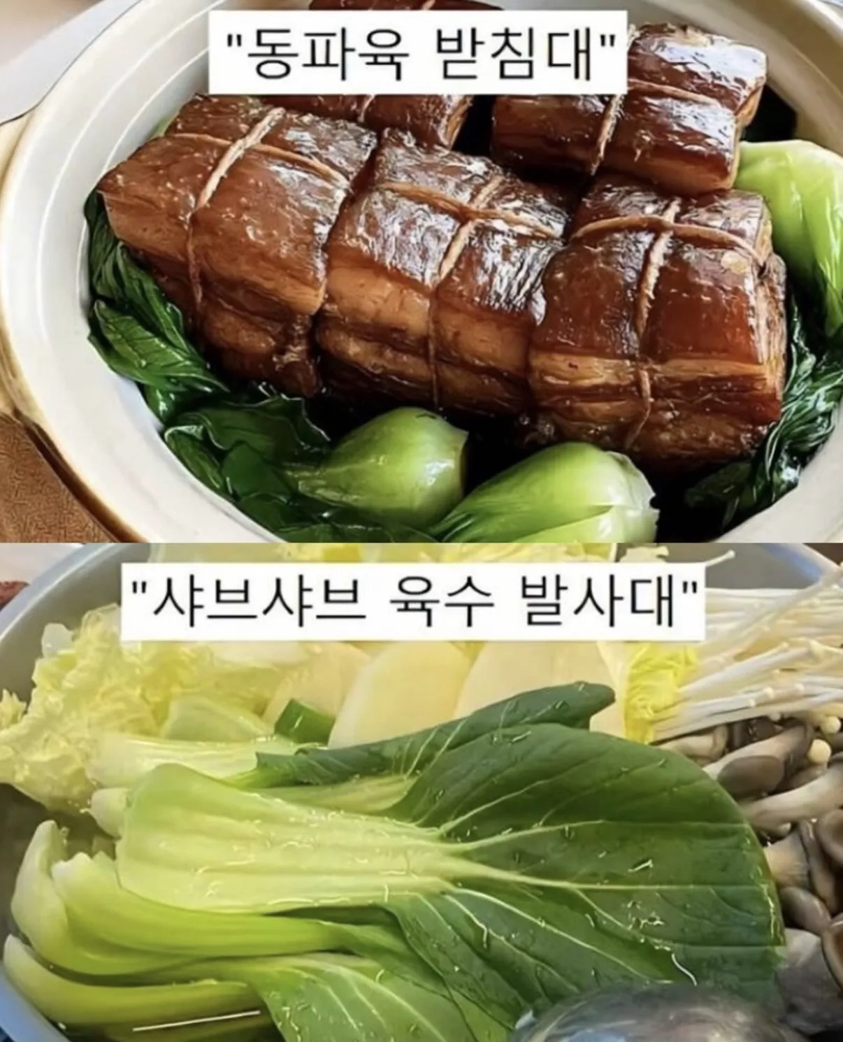 청경채의 모욕적인 별명들 (2)